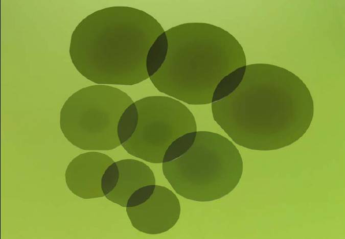 SiC Epitaxial Wafer